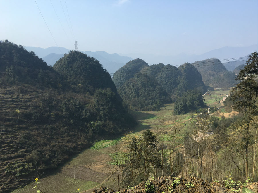 意道机构顺利签约云南盐津县中和镇乡村旅游规划项目